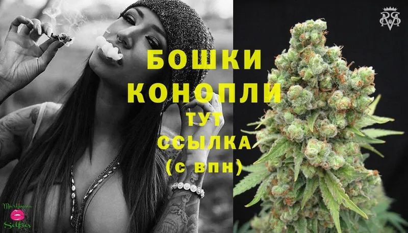 даркнет сайт  Кисловодск  Шишки марихуана SATIVA & INDICA 